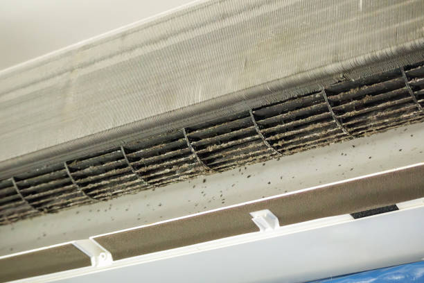 Best Affordable Air Duct Cleaning  in Sulphur Springs, AR