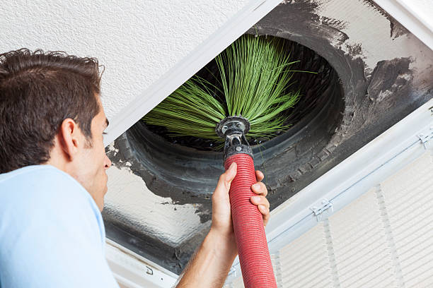 Air Duct Mold Removal in Sulphur Springs, AR